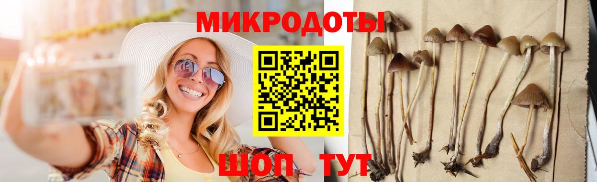Псилоцибиновые грибы прущие грибы Нарткала